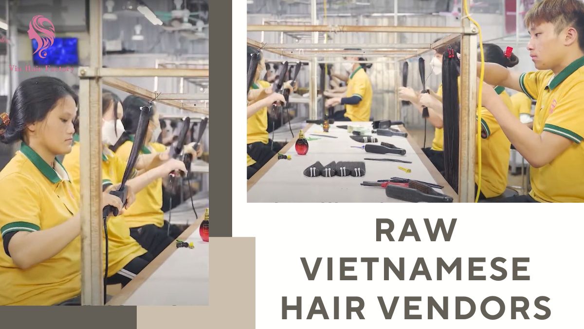 Check Out Top Raw Vietnamese Hair Vendors 2023 Updated
