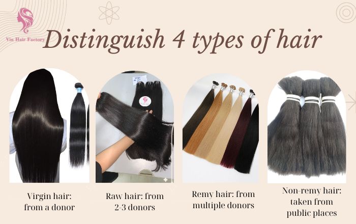 Classification 4 popular types of hair