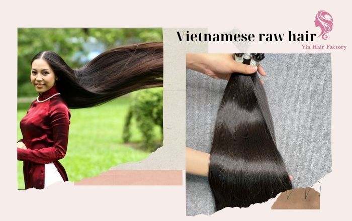 Vietnamese raw hair has the same quality or higher than hair from Brazil