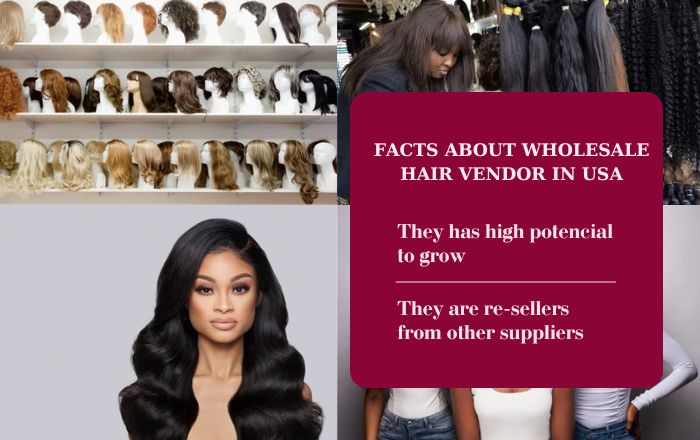 Fact about wholesale hair vender in USA
