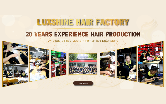 Luxshine hair factory