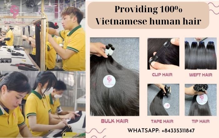Vin Hair Factory is the top best hair factory in Vietnam